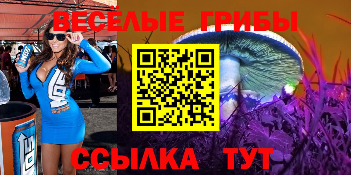 Галлюциногенные грибы мицелий  Вход с VPN  Удомля 