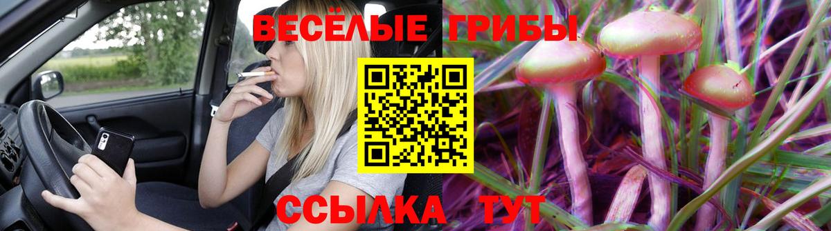 Псилоцибиновые грибы мухоморы Удомля